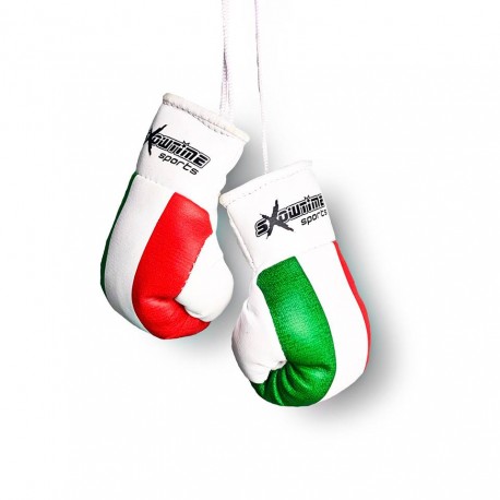 Mini Boxhandschuhe italienische Flagge